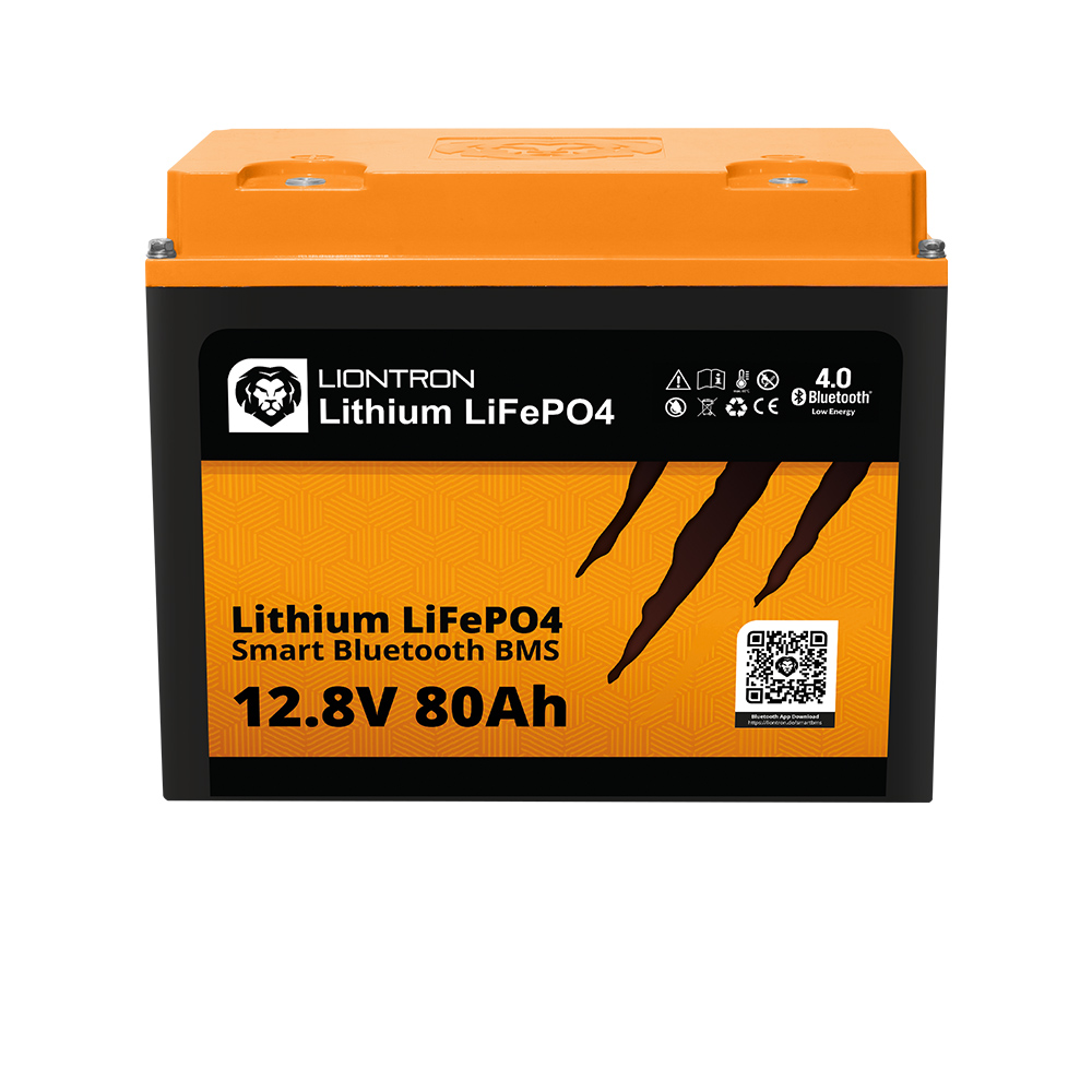 LX BMS 12.8V 80Ah