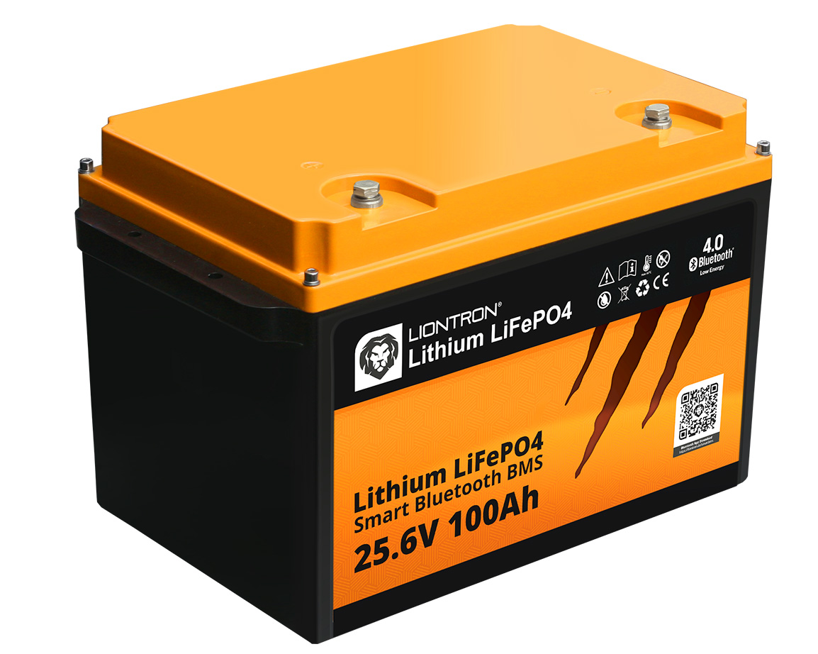 Liontron 24v battery family